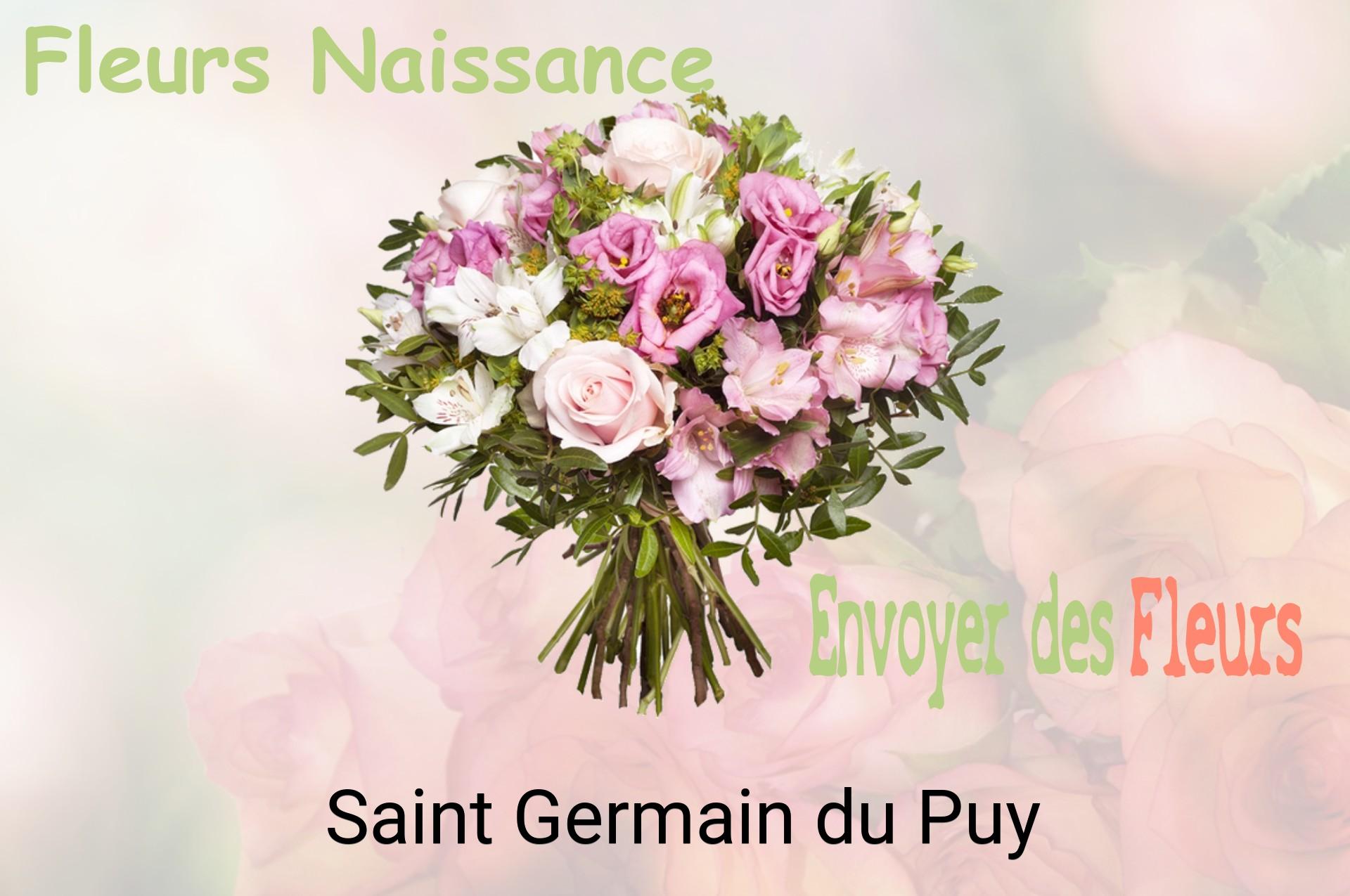 Bouquet de fleurs de naissance livré à Saint-Germain-du-Puy